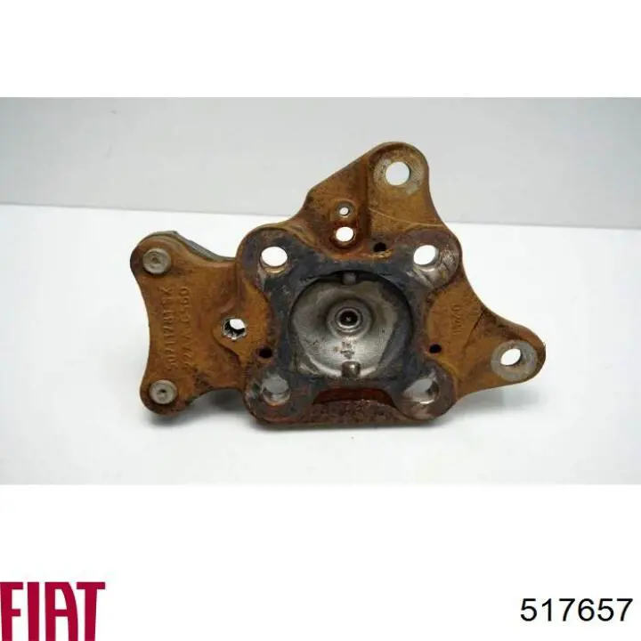 Цапфа - поворотный кулак задний, левый Fiat/Alfa/Lancia 517657 цена, от 0.84 USD