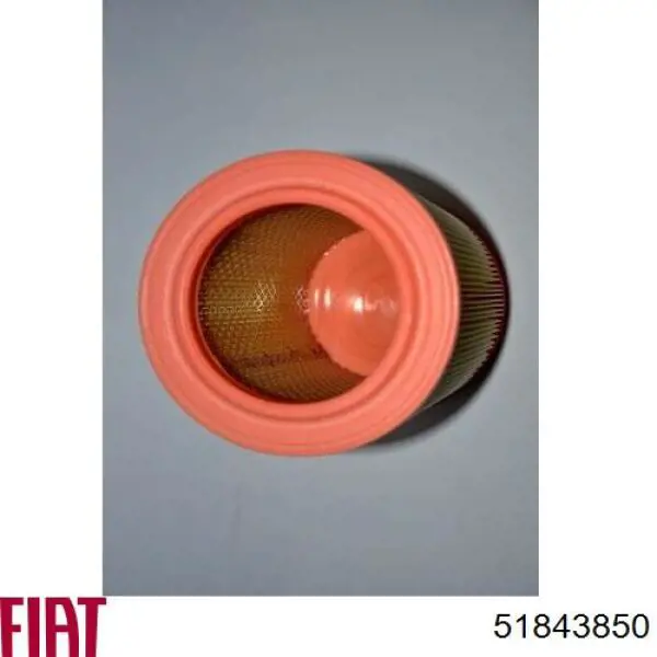 51843850 Fiat/Alfa/Lancia Воздушный фильтр двигателя
