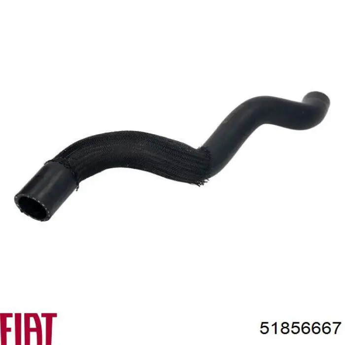 Шланг радиатора охлаждения Thermotec DWP158TT цена, от 9.96 USD