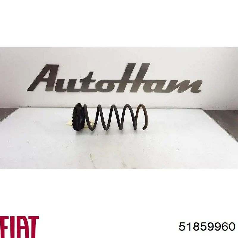 Задняя пружина 51859960 Fiat/Alfa/Lancia