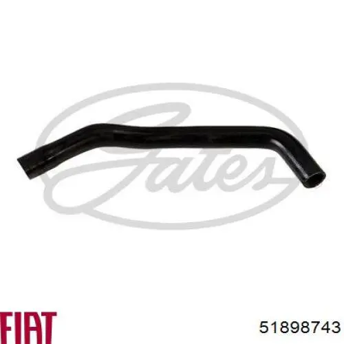 Патрубок радиатора 51817697 Fiat/Alfa/Lancia