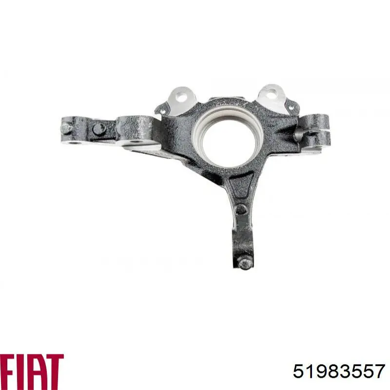 Цапфа (поворотный кулак) передний левый Fiat/Alfa/Lancia 51983557 цена, от 42.36 USD
