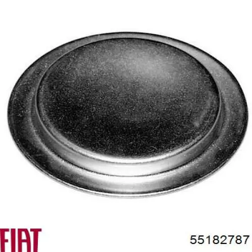 Купить 55182787 Fiat/Alfa/Lancia Заглушка ГБЦ