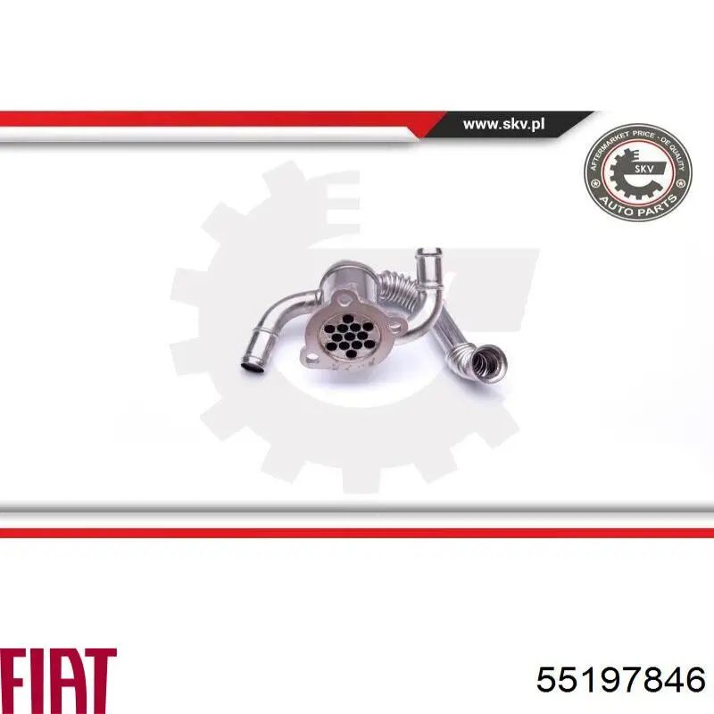 Радиатор системы EGR рециркуляции выхлопных газов Fiat/Alfa/Lancia 55197846 цена, от 7.31 USD