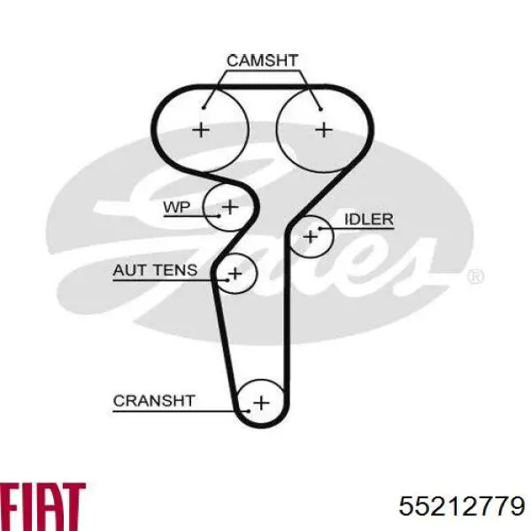 Ремень ГРМ 55212779 Fiat/Alfa/Lancia