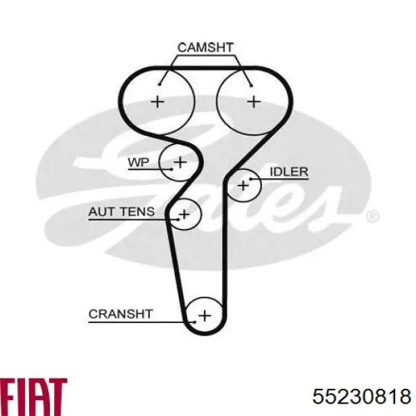 Ремень ГРМ 55230818 Fiat/Alfa/Lancia