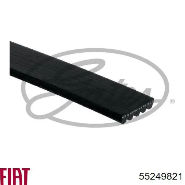 Купить 55249821 Fiat/Alfa/Lancia Ремень генератора