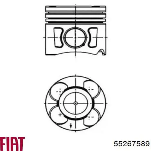 55267589 Fiat/Alfa/Lancia pistão do kit para 1 cilindro, std