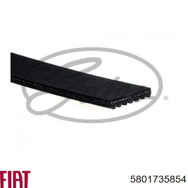 Клиновый ремень Fiat/Alfa/Lancia 5801735854 цена, от 15.00 USD