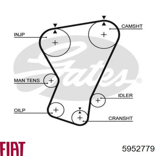 Ремень ГРМ 5952779 Fiat/Alfa/Lancia