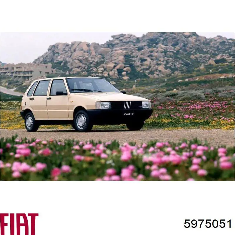  5975051 Fiat/Alfa/Lancia