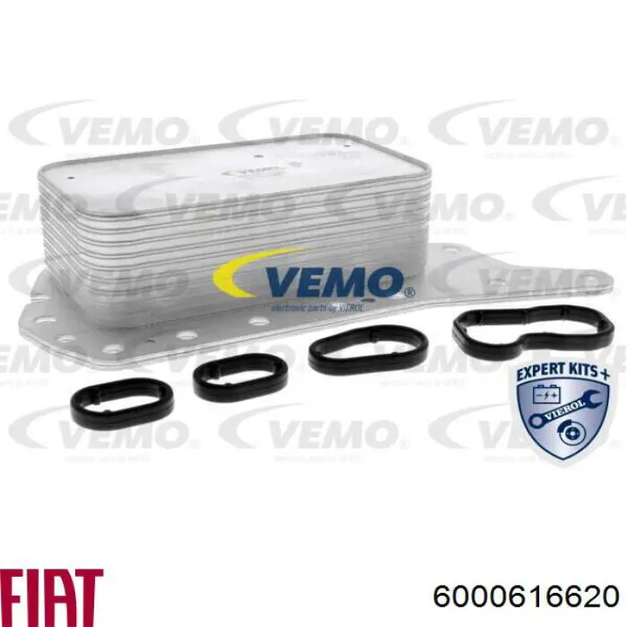 6000616620 Fiat/Alfa/Lancia