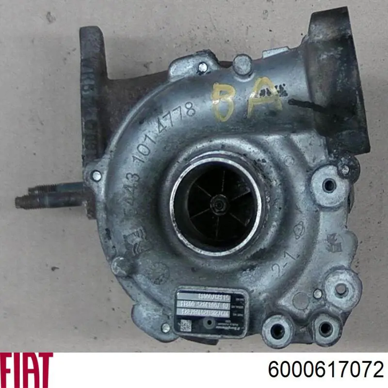Купить 550448498R Renault (RVI) Сайлентблок задней балки