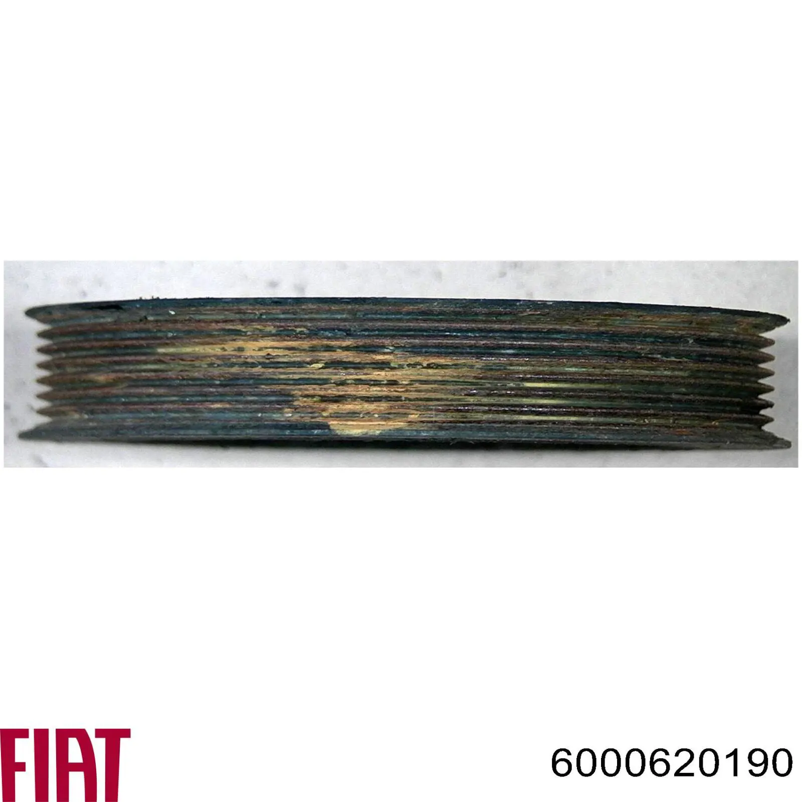 Фонарь заднего хода правый 6000620190 Fiat/Alfa/Lancia