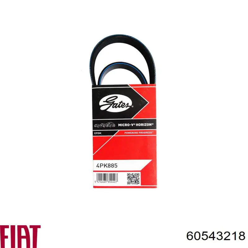 Купить 60543218 Fiat/Alfa/Lancia Ремень генератора