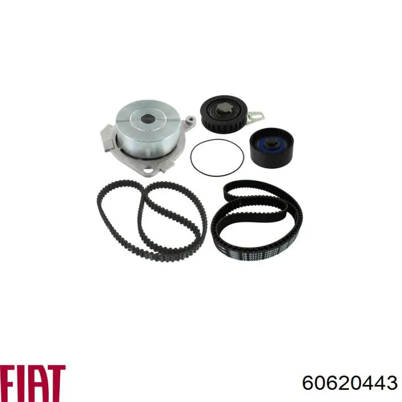 Купить 60620443 Fiat/Alfa/Lancia Натяжитель ремня балансировочного вала