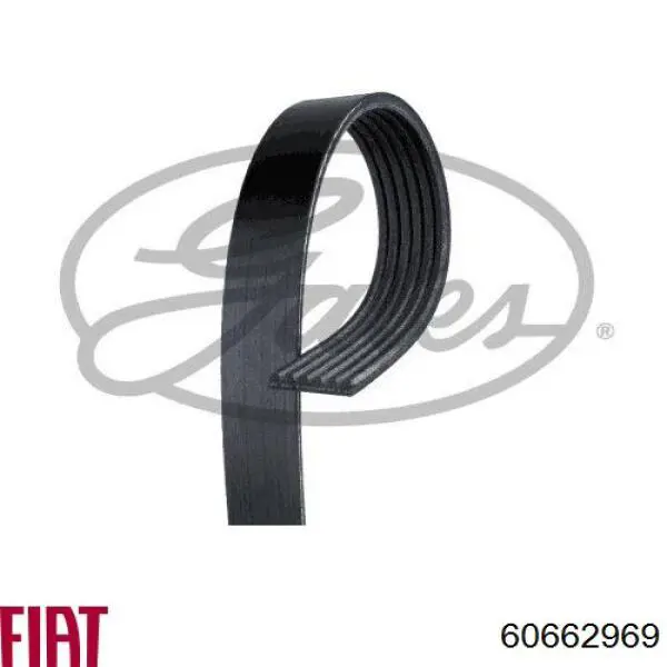 Клиновый ремень Fiat/Alfa/Lancia 60662969 цена, от 10.70 USD