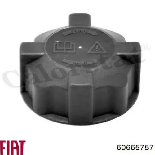 60665757 Fiat/Alfa/Lancia