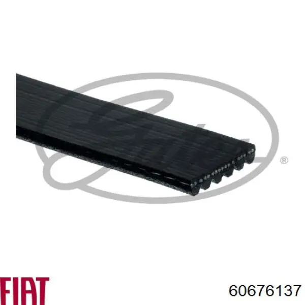 Купить 60676137 Fiat/Alfa/Lancia Ремень генератора