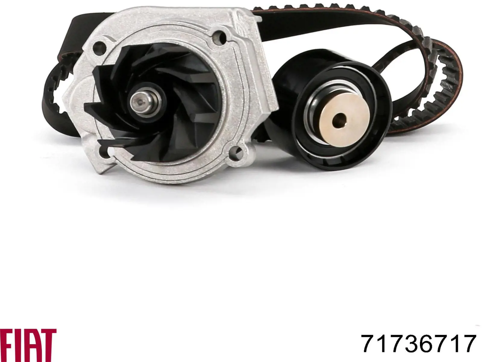 ГРМ ремни, комплект Fiat/Alfa/Lancia 71736717 цена, от 62.03 USD