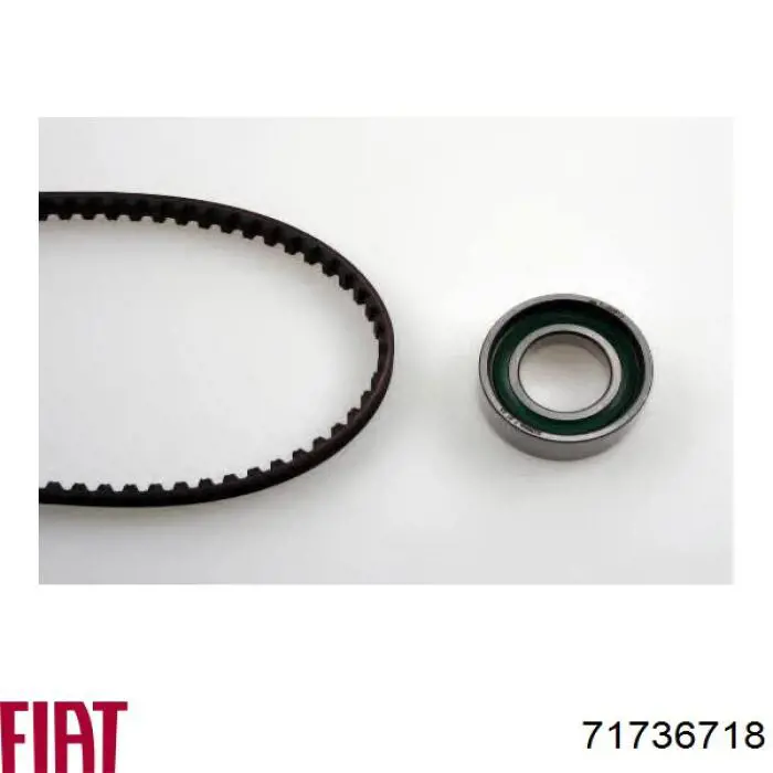 ГРМ ремни, комплект Fiat/Alfa/Lancia 71736718 цена, от 19.56 USD