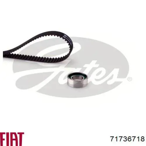 Купить 71736718 Fiat/Alfa/Lancia Комплект ГРМ