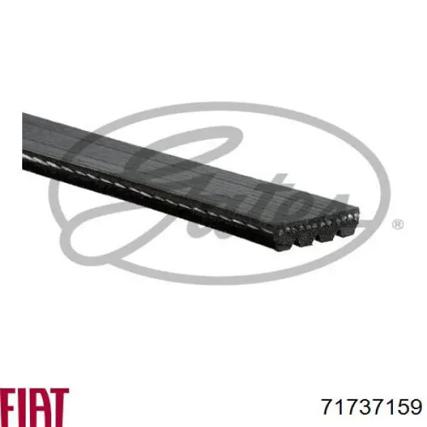 Клиновый ремень Fiat/Alfa/Lancia 71737159 цена, от 9.98 USD