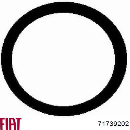Прокладка впускного коллектора 71739202 Fiat/Alfa/Lancia