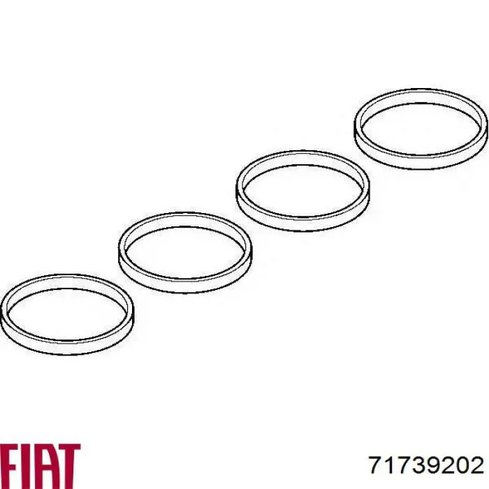71739202 Fiat/Alfa/Lancia  Прокладка впускного коллектора