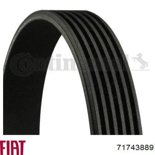 Клиновый ремень Fiat/Alfa/Lancia 71743889 цена, от 9.88 USD