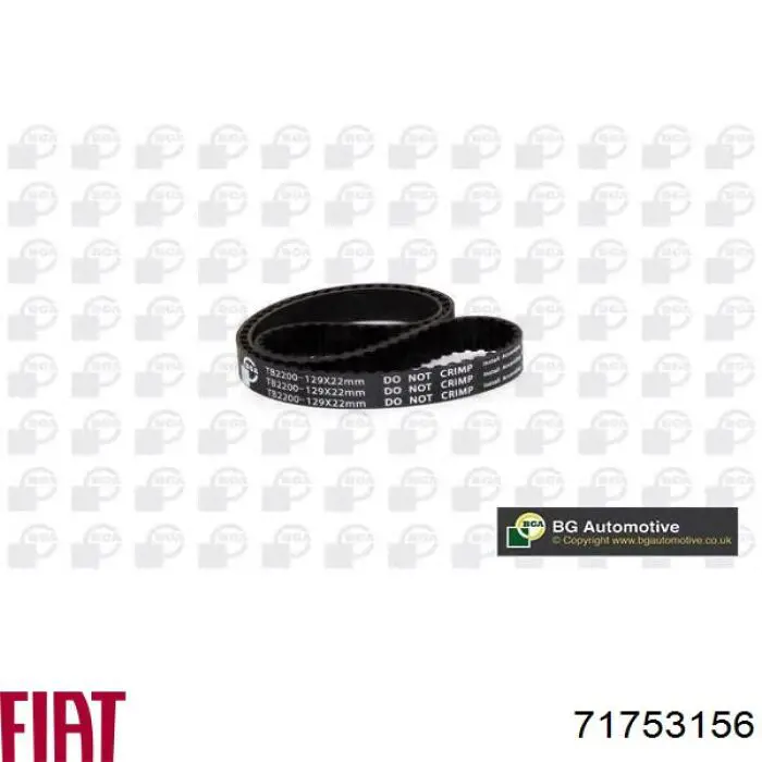 Correa distribucion 71753156 Fiat/Alfa/Lancia