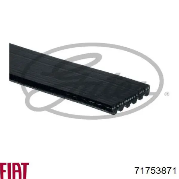 Ремень генератора 73501649 Fiat/Alfa/Lancia