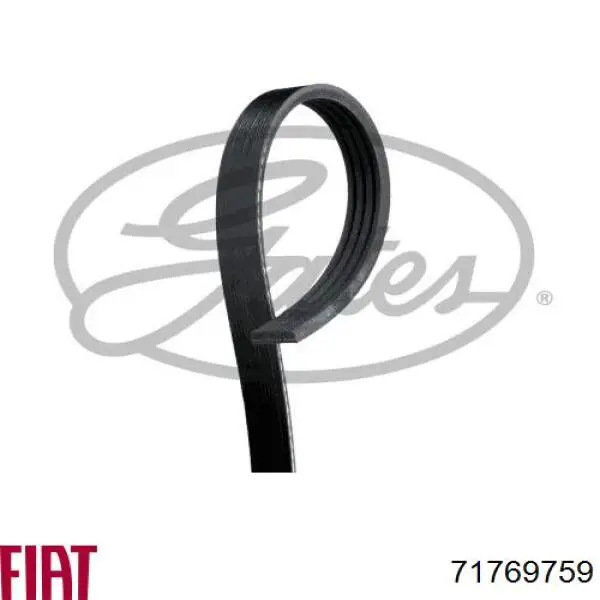 Клиновый ремень Fiat/Alfa/Lancia 71769759 цена, от 4.88 USD