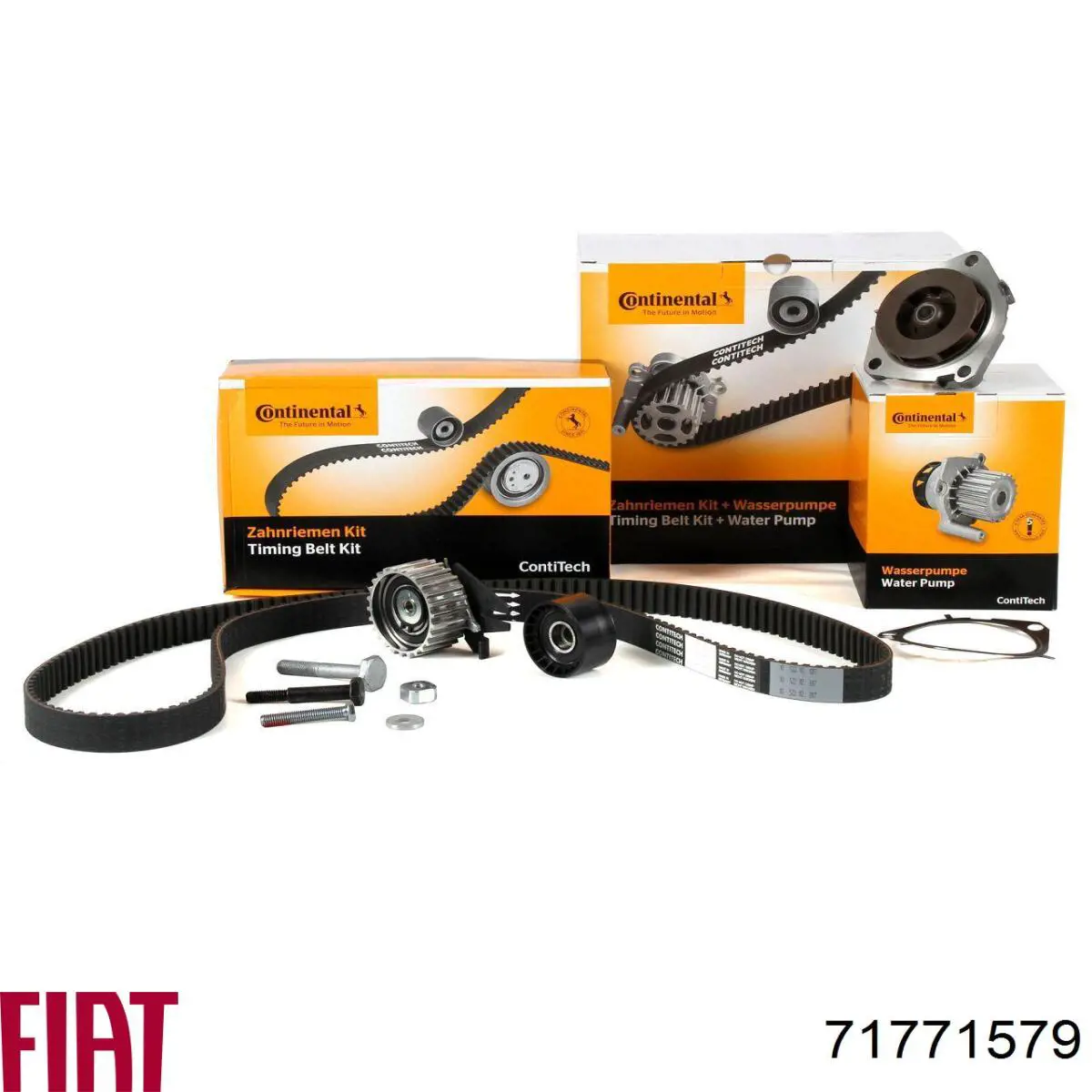 Купить 71771579 Fiat/Alfa/Lancia Комплект ГРМ