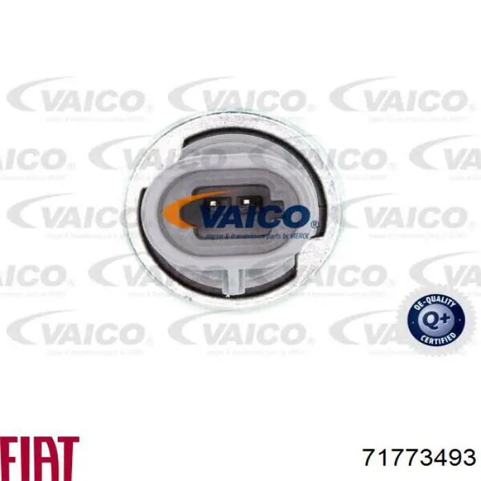 Купить 71773493 Fiat/Alfa/Lancia 