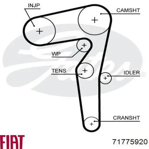 Купить 71775920 Fiat/Alfa/Lancia Комплект ГРМ