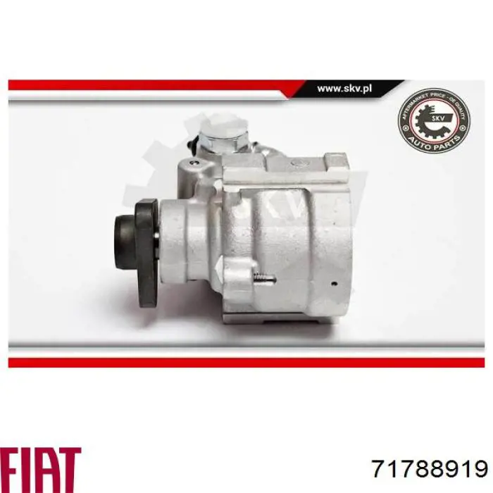 Купить 71788919 Fiat/Alfa/Lancia Насос рулевого управления