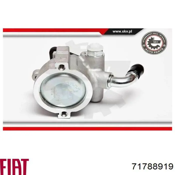 Насос ГУР 71788919 Fiat/Alfa/Lancia