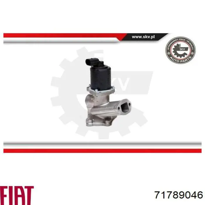 Купить 71789046 Fiat/Alfa/Lancia Клапан EGR системы рециркуляции отработавших газов