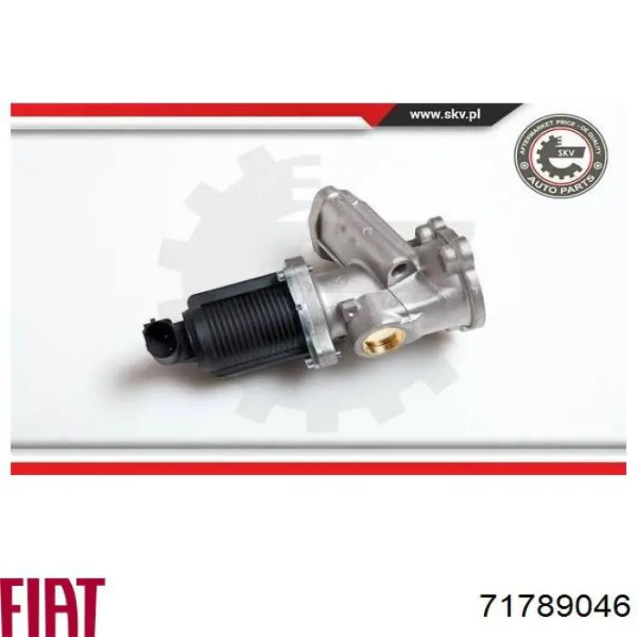 Клапан ЕГР 71789046 Fiat/Alfa/Lancia