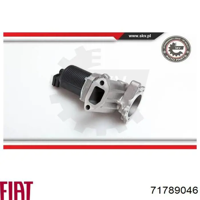 Клапан EGR, рециркуляции газов Fiat/Alfa/Lancia 71789046
