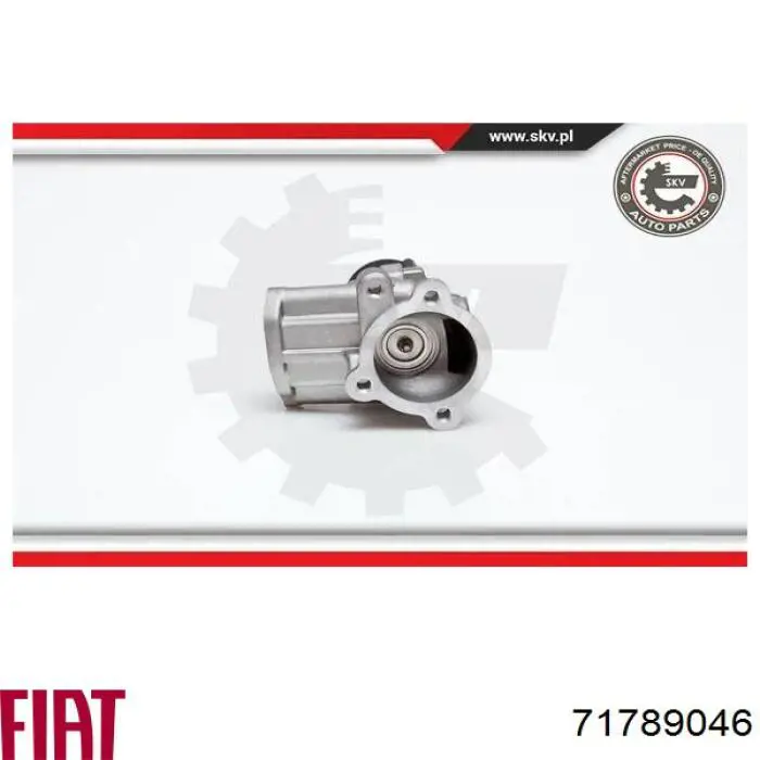 71789046 Fiat/Alfa/Lancia Клапан рециркуляции отработавших газов EGR