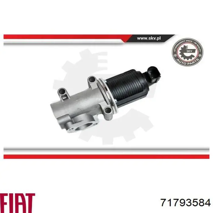 Купить 71793584 Fiat/Alfa/Lancia Клапан EGR системы рециркуляции отработавших газов