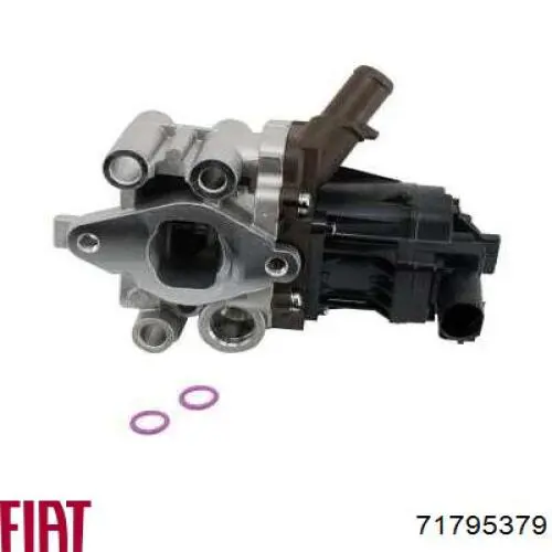 Клапан ЕГР 71795379 Fiat/Alfa/Lancia