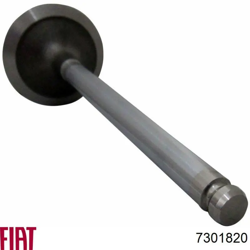 Купить 7301820 Fiat/Alfa/Lancia Впускной клапан