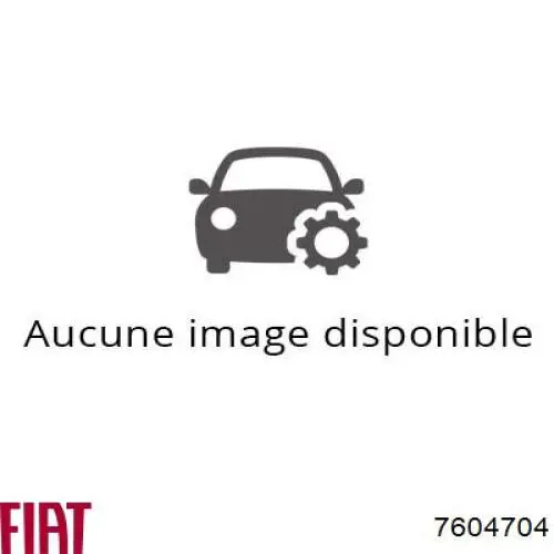 7604704 Fiat/Alfa/Lancia