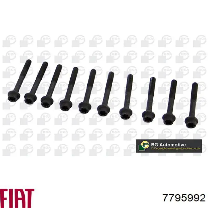 Болт головки блока цилиндров, ГБЦ Fiat/Alfa/Lancia 7795992 цена, от 4.07 USD