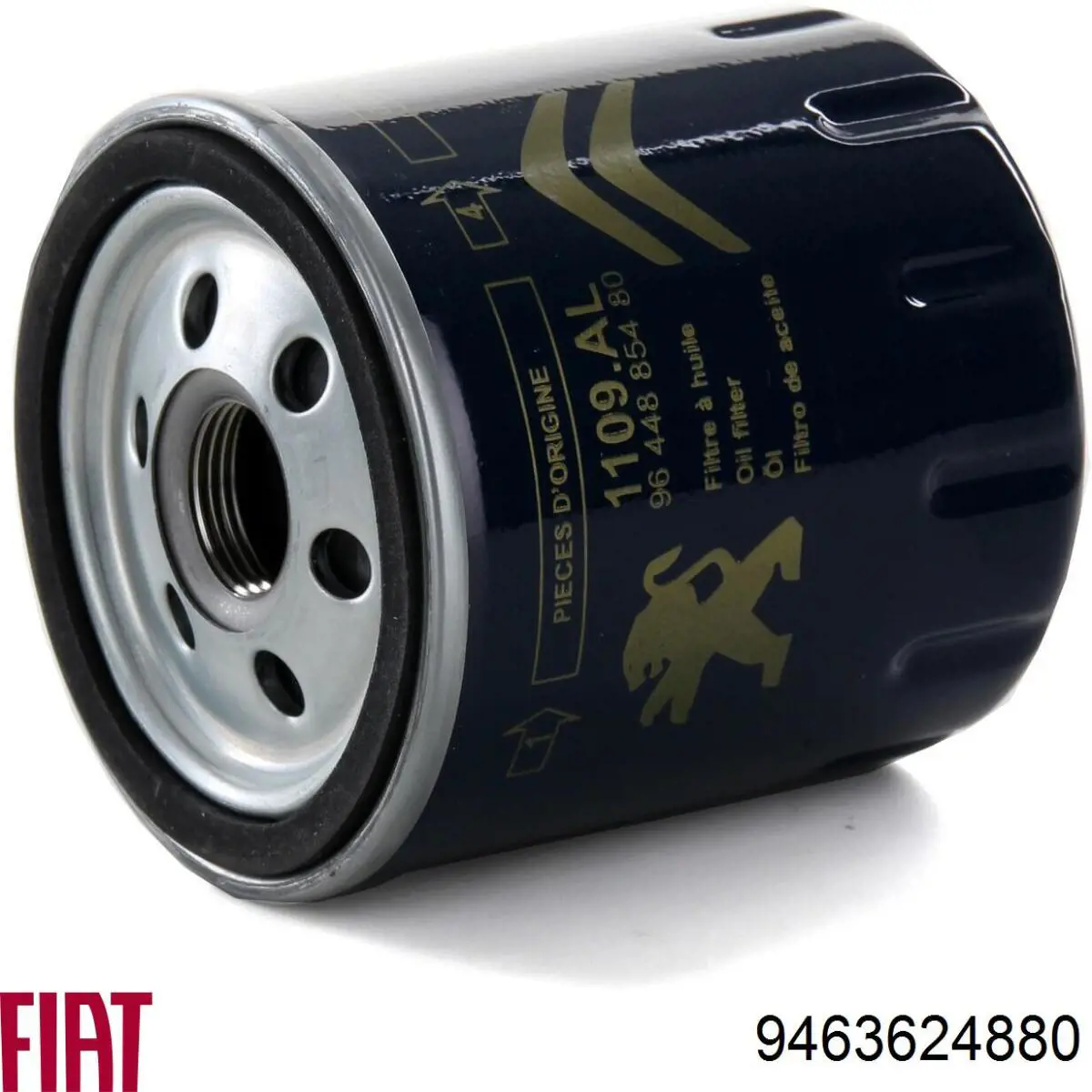 9463624880 Fiat/Alfa/Lancia Воздушный фильтр двигателя