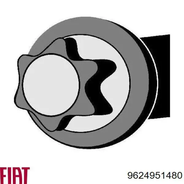 Болт ГБЦ 9624951480 Fiat/Alfa/Lancia