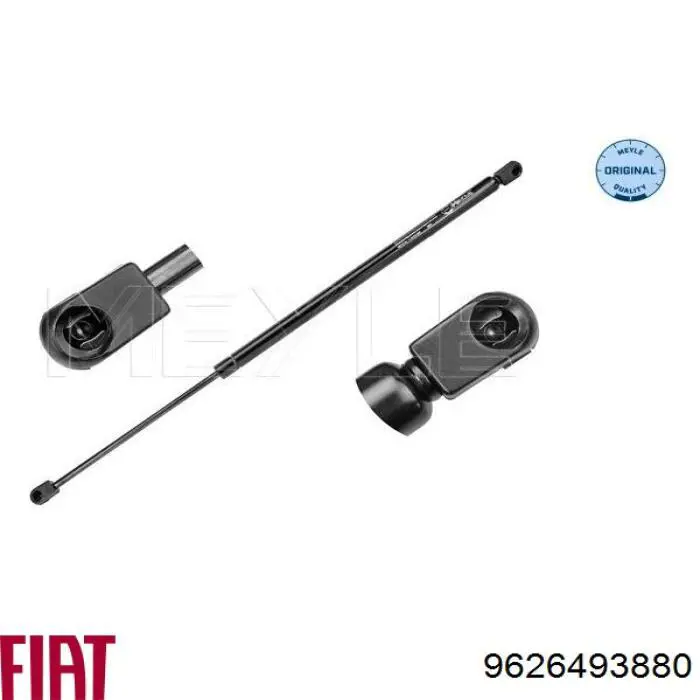 Амортизатор задней двери Magneti Marelli GS0302 цена, от 10.55 USD